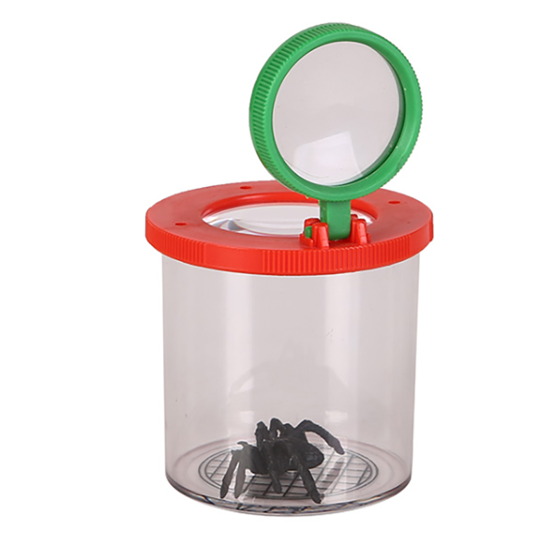 Hotsale Insect Collecting Educational Toys with Double Magnifying Lens for Kids Fun